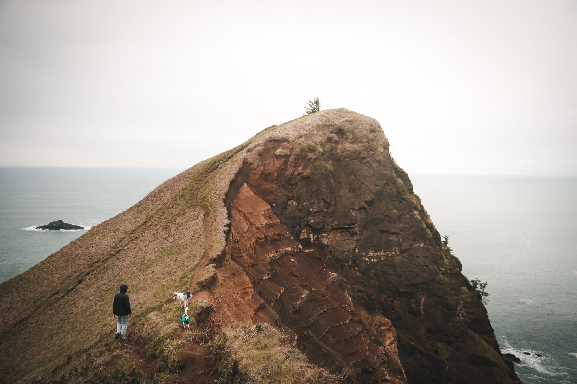 Dramatic coastal cliff with person and dog